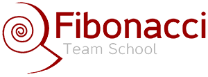Fibo Team School